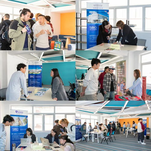 上海理工大學(xué)中英國際學(xué)院舉辦2025年度英國合作大學(xué)秋季咨詢會 聚焦信息技術(shù)咨詢服務(wù)，規(guī)劃未來留學(xué)之路