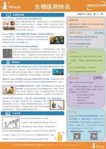 長煦信息技術(shù)咨詢 賦能企業(yè)數(shù)字化轉(zhuǎn)型的智能引擎